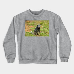 Kla papa 1 Crewneck Sweatshirt